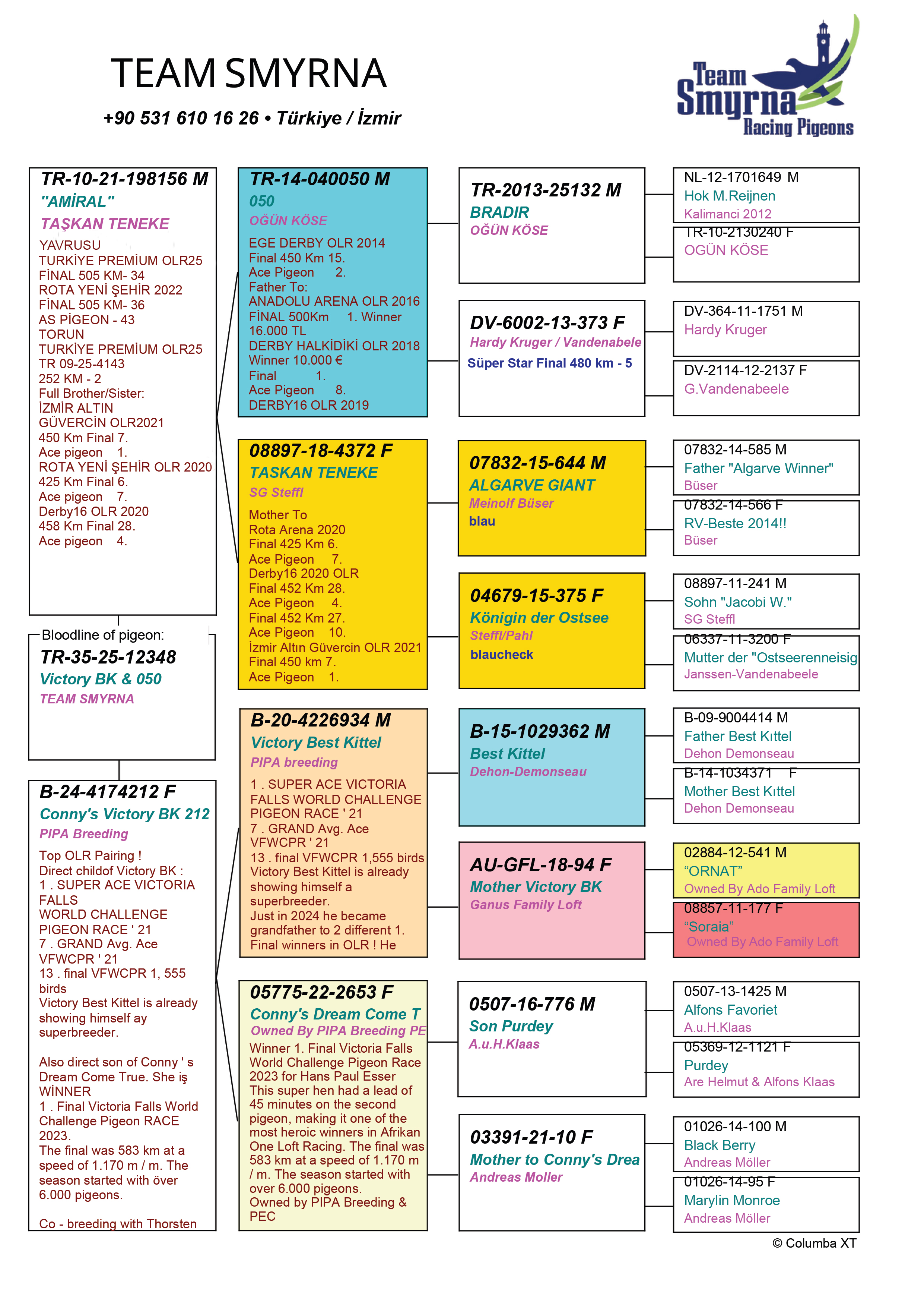 TR25-35-1248 DİŞİ / TEAM SMYRNA  -   VICTORY BK & 050 