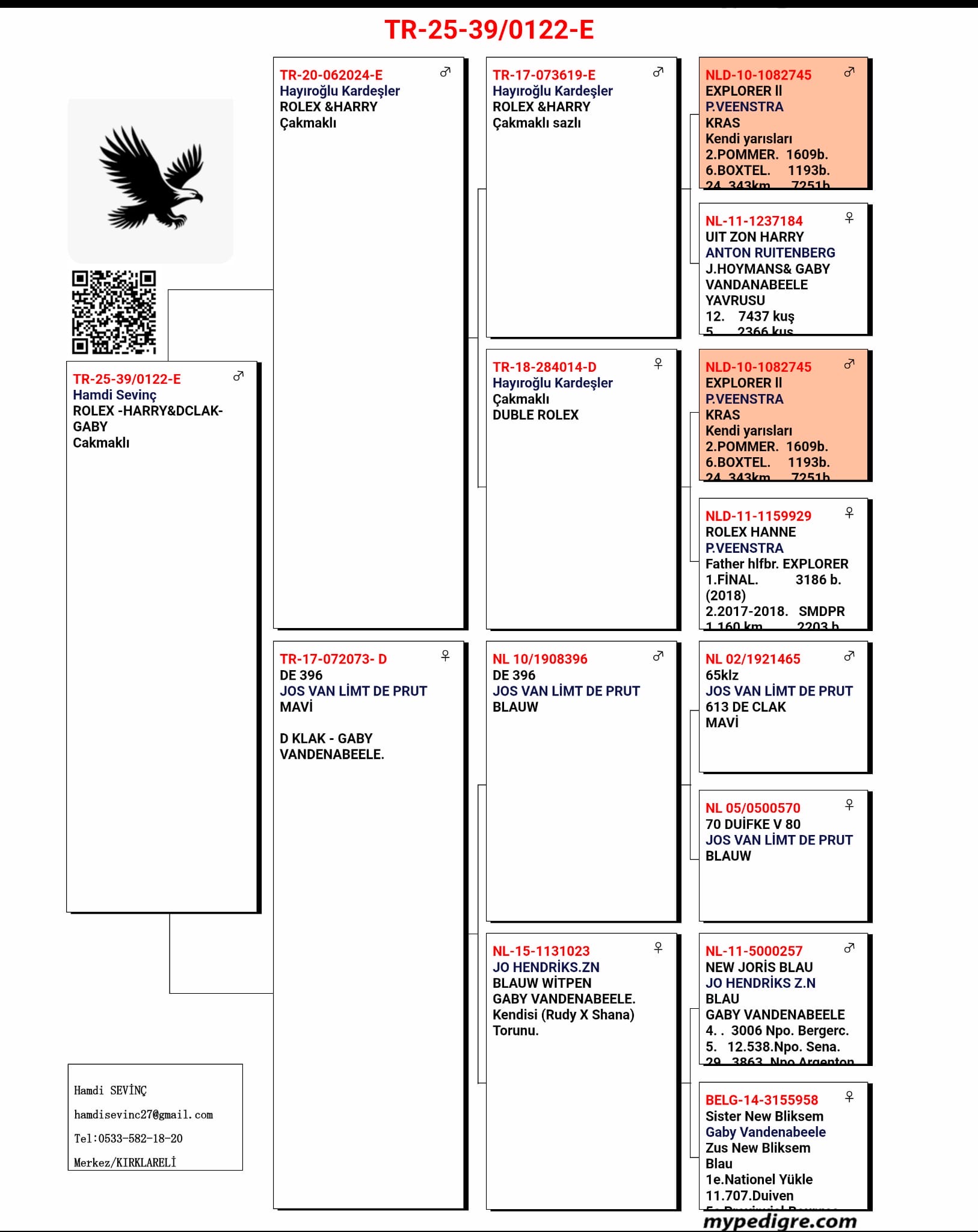 TR25-39-0122  ERKEK / BABASI INBREED ROLEX ANNESİ DE KLAK - GABY