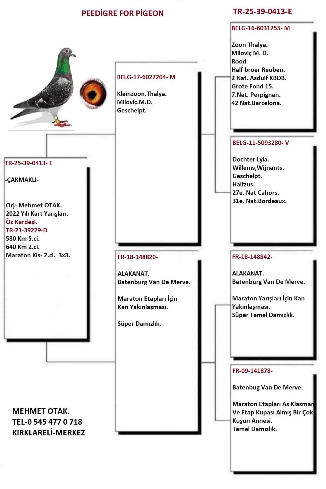 TR25-39-0413 ERKEK / &Ouml;Z KARDEŞİ 5  580 KM  -  2  640 KM  -  2 MARATON KLASMAN