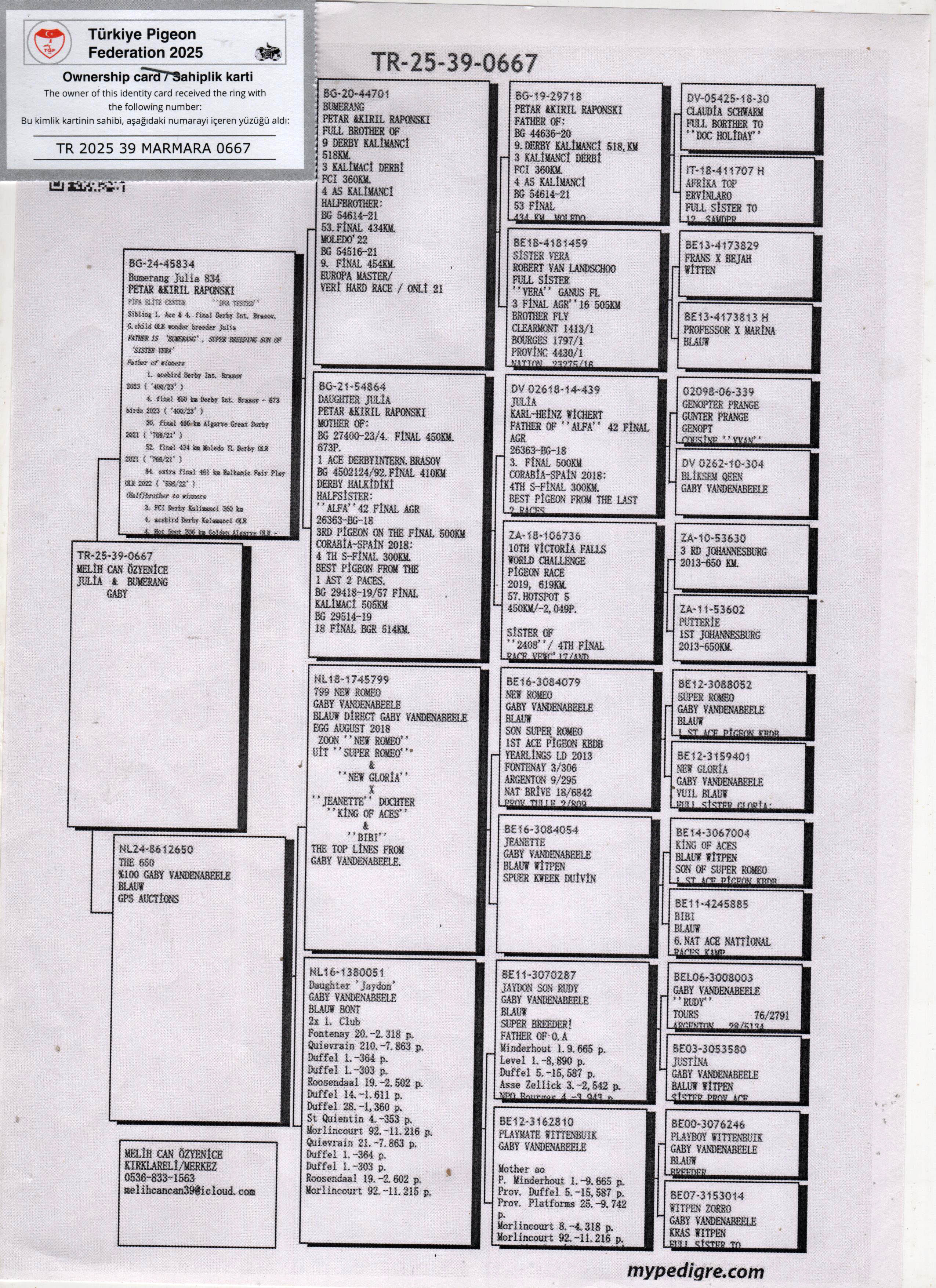 TR25-39-0667 ERKEK / BABASI JULIA TORUNU ANNESİ GABY VANDENABEELE 