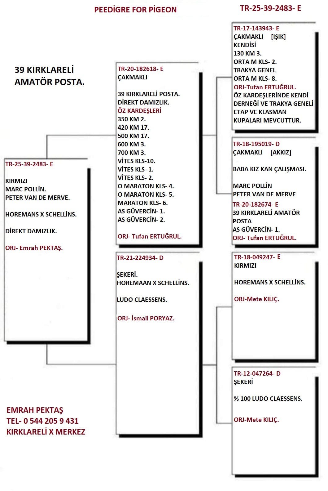 TR25-39-2483 ERKEK / DİREK &Ouml;Z KAREŞLERİ  1 VİTES KLASMAN 