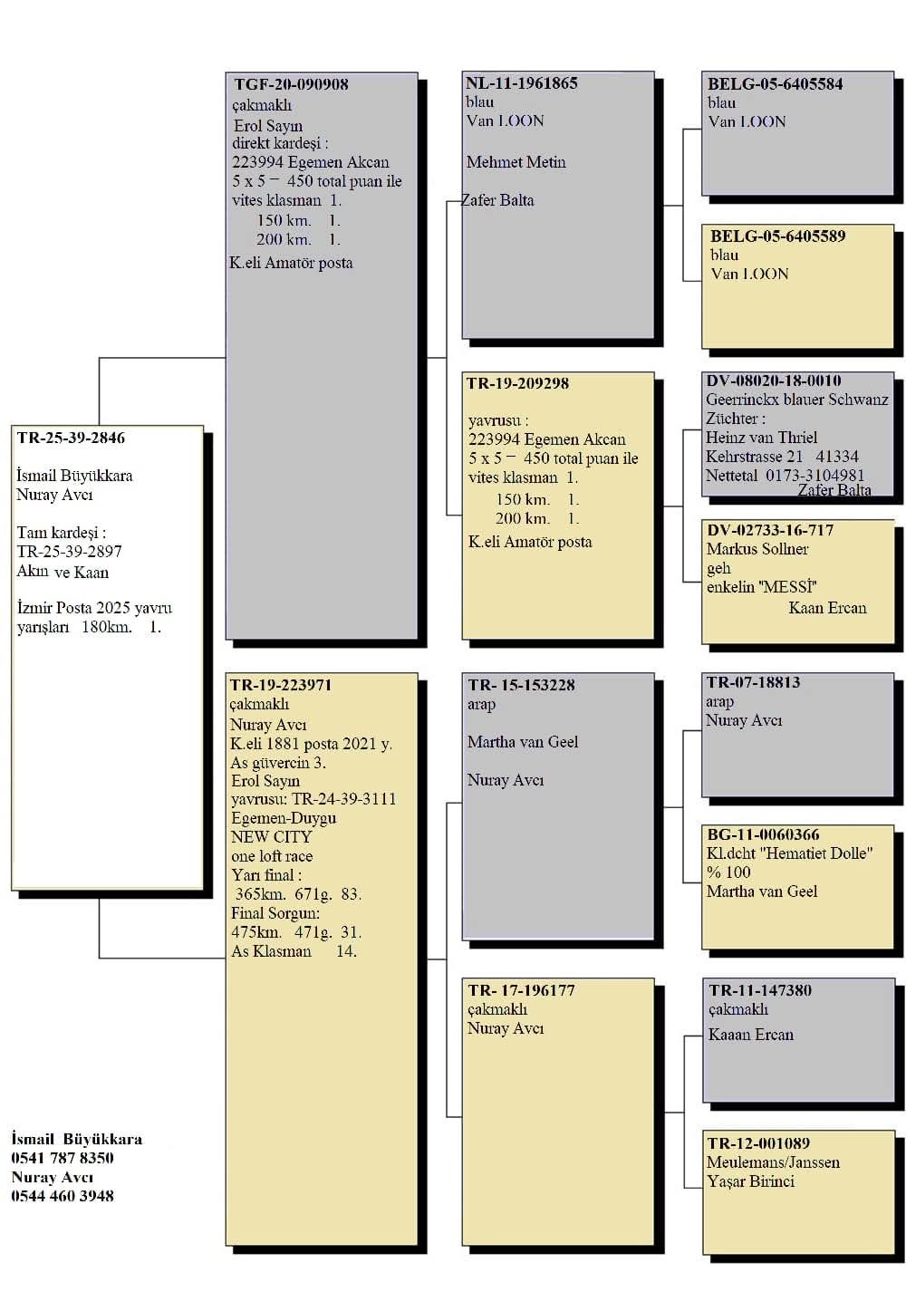 TR25-39-2846 / İSMAİL BÜYÜKKARA & NURAY AVCI -  22 FİNAL &  1  AS 