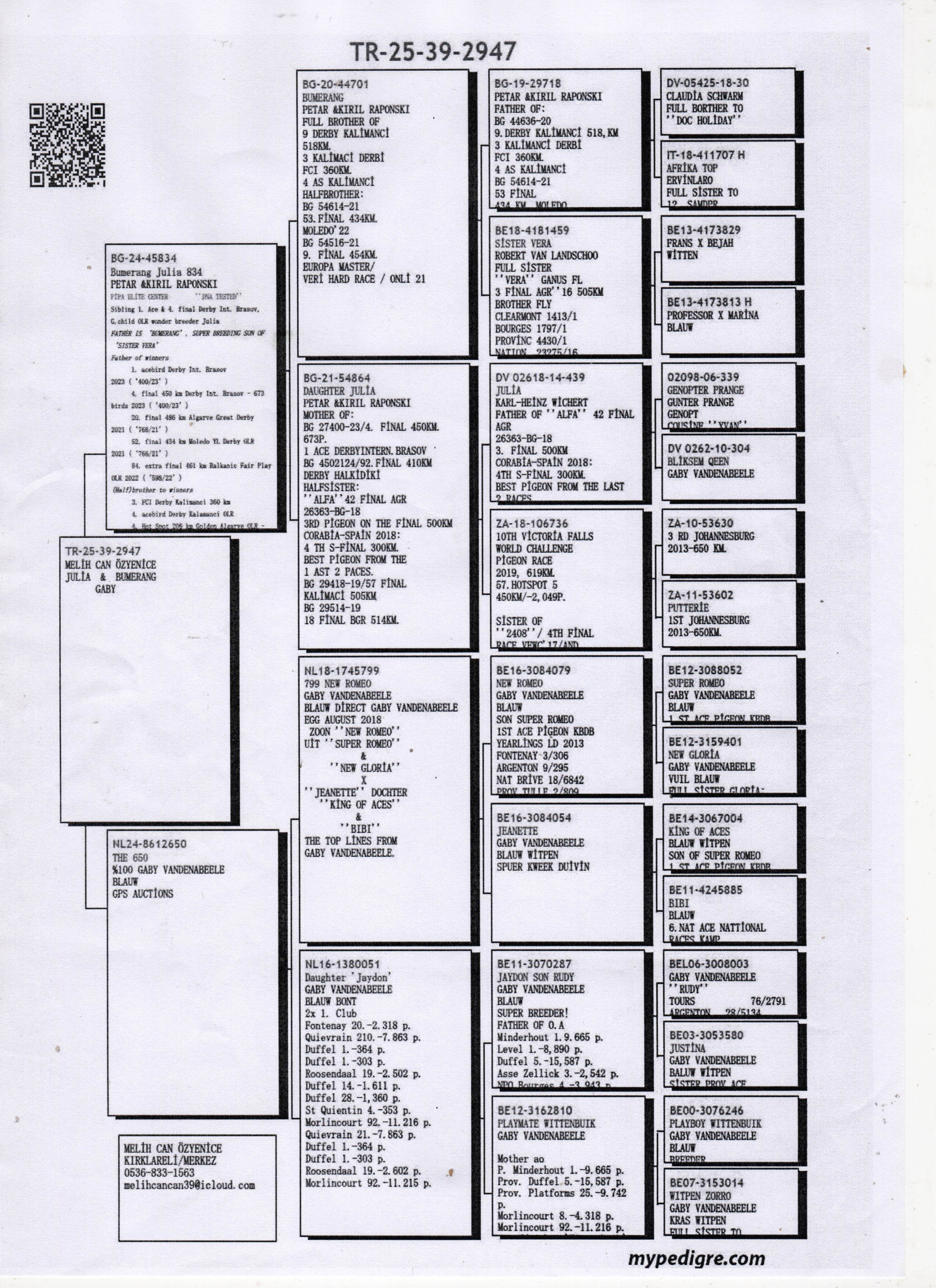 TR25-39-2947 DİŞİ / BABASI JULIA TORUNU ANNESİ GABY VANDENABEELE