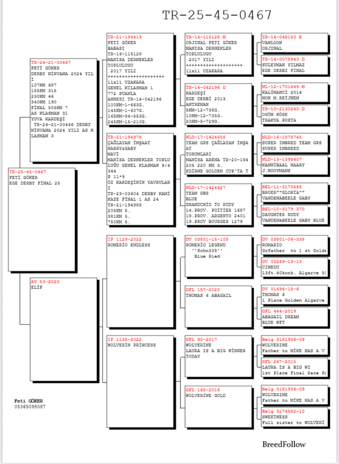 TR25-45-00467 / FETİ GÖKER - 25 FİNAL & 97 AS
