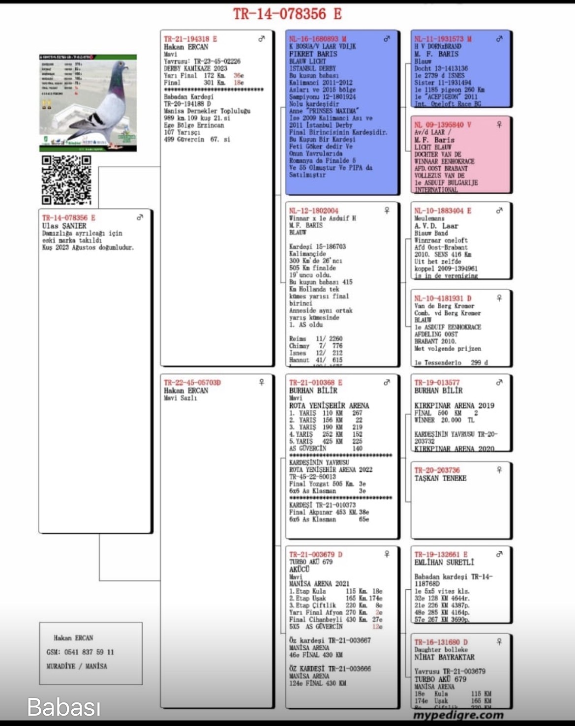 TR25-45-07716 / ULAS SAMER - 106 FİNAL