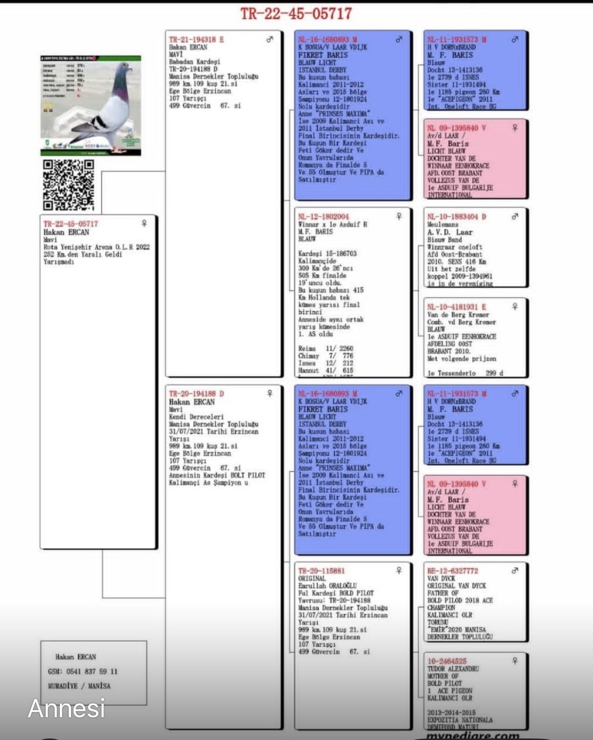TR25-45-07716 / ULAS SAMER - 106 FİNAL