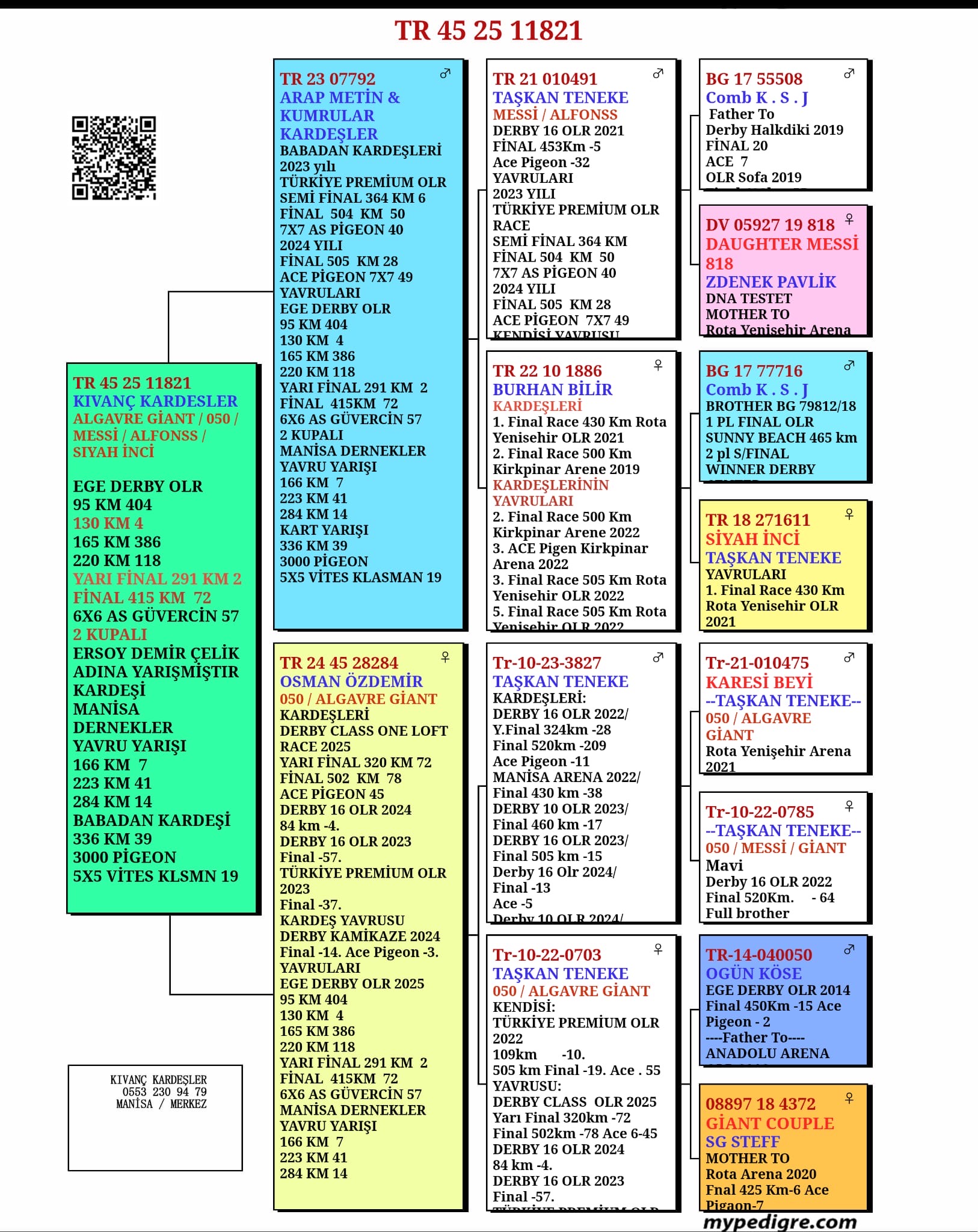 TR25-45-11821 / ERSOY DEMİ&Ccedil;ELİK  -  72 FİNAL  &  65 AS