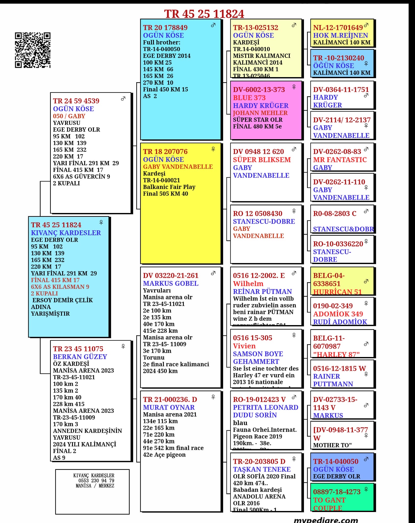 TR25-45-11824 / ERSOY DEMİRÇELİK - 17 FİNAL  &  9 AS 