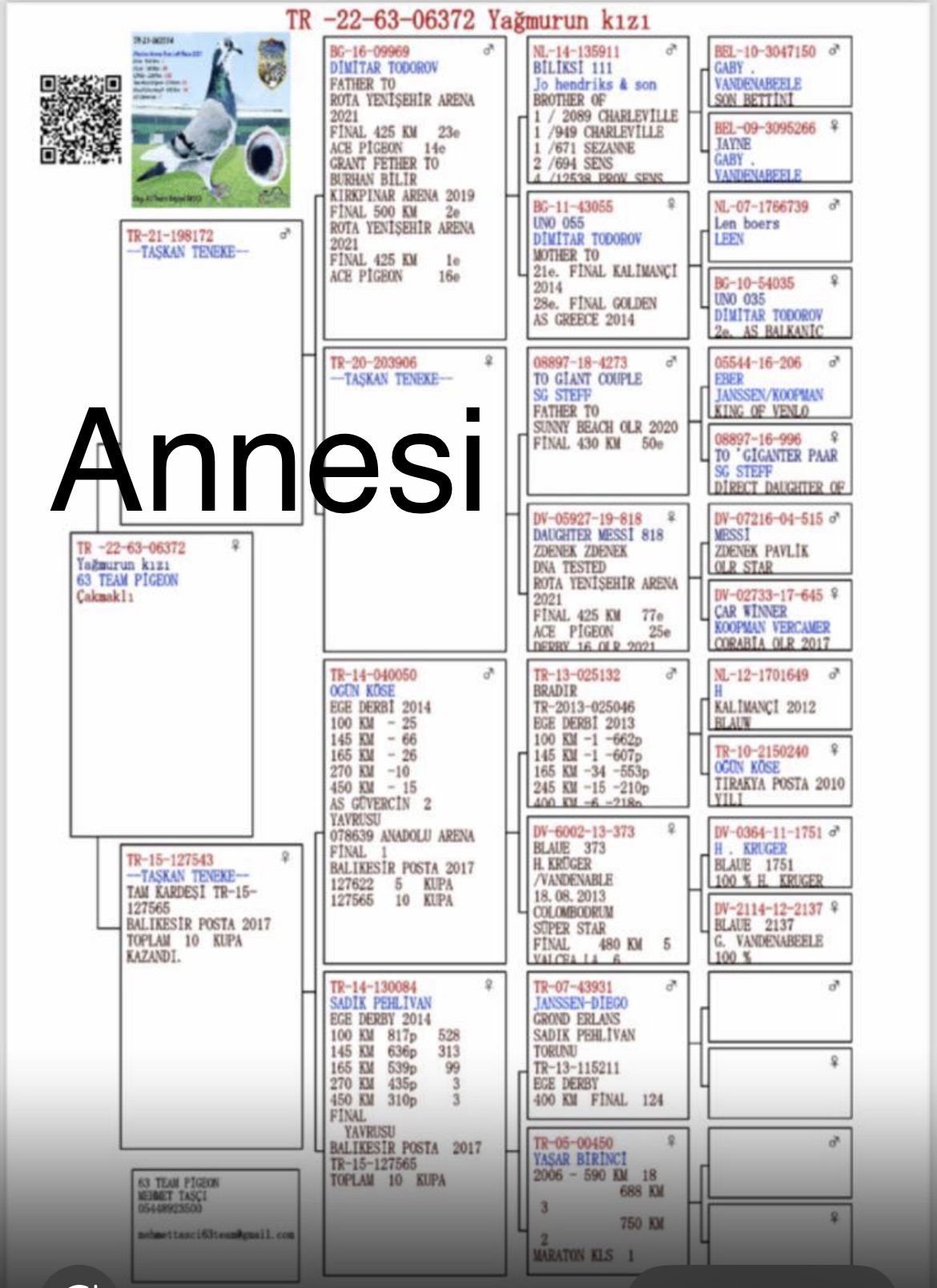 TR25-45-18013 / CİHAN ASKINTAS - 61 FİNAL & 38 AS