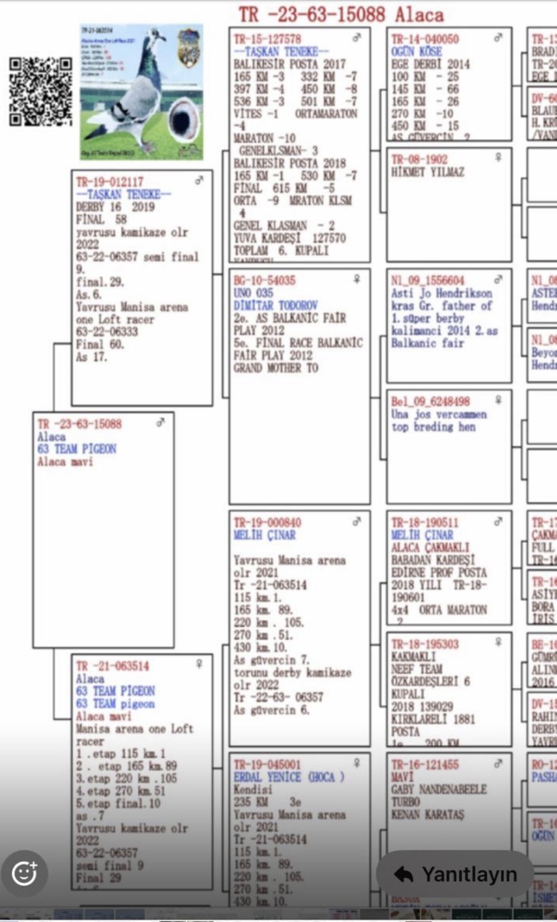 TR25-45-18013 / CİHAN ASKINTAS - 61 FİNAL & 38 AS