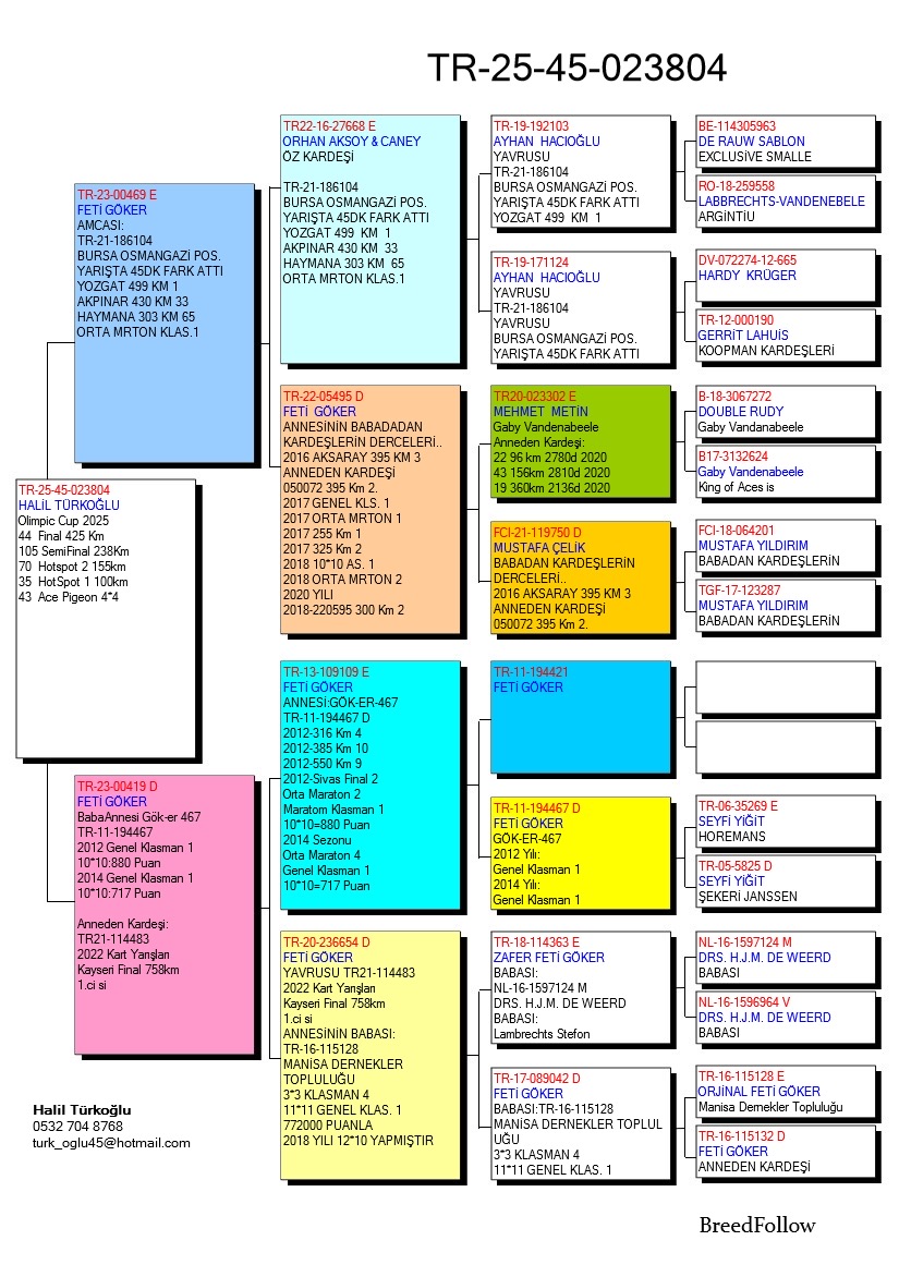 TR25-45-23804 / HALİL TÜRKOĞLU - 44 FİNAL 425 KM -& 43 AS 