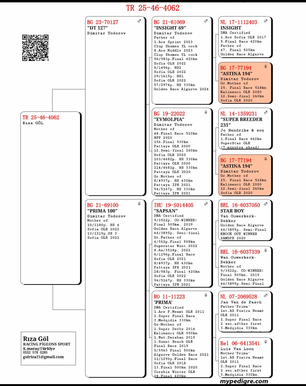 TR25-46-4062  DİŞİ / DİMİTAR TODOROV % 100