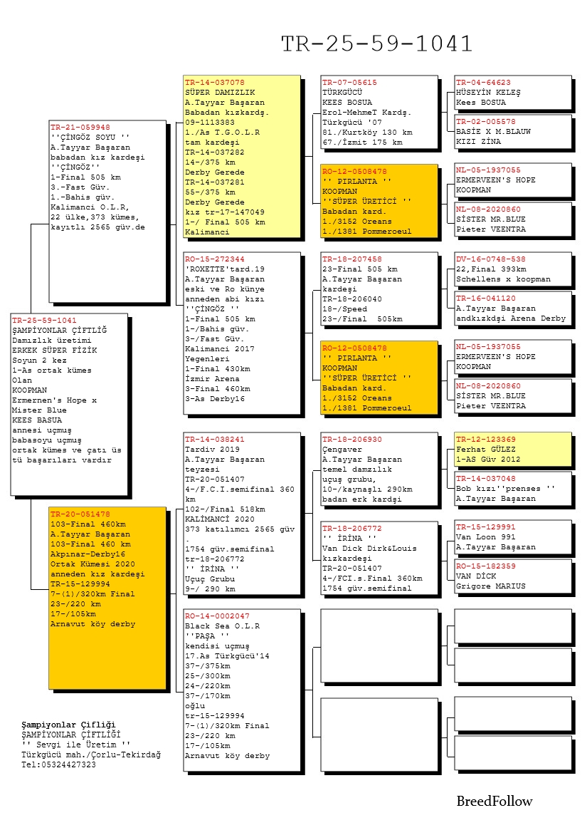 TR25-59-1041 ERKEK / BABASI CİNGÖZ SOYU