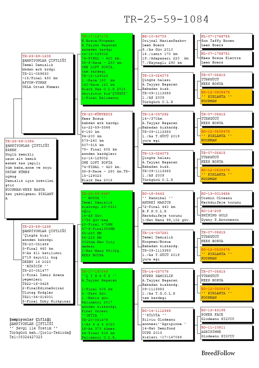 TR25-59-1084 ERKEK / ANNESİ ÇİNGÖZ KIZI