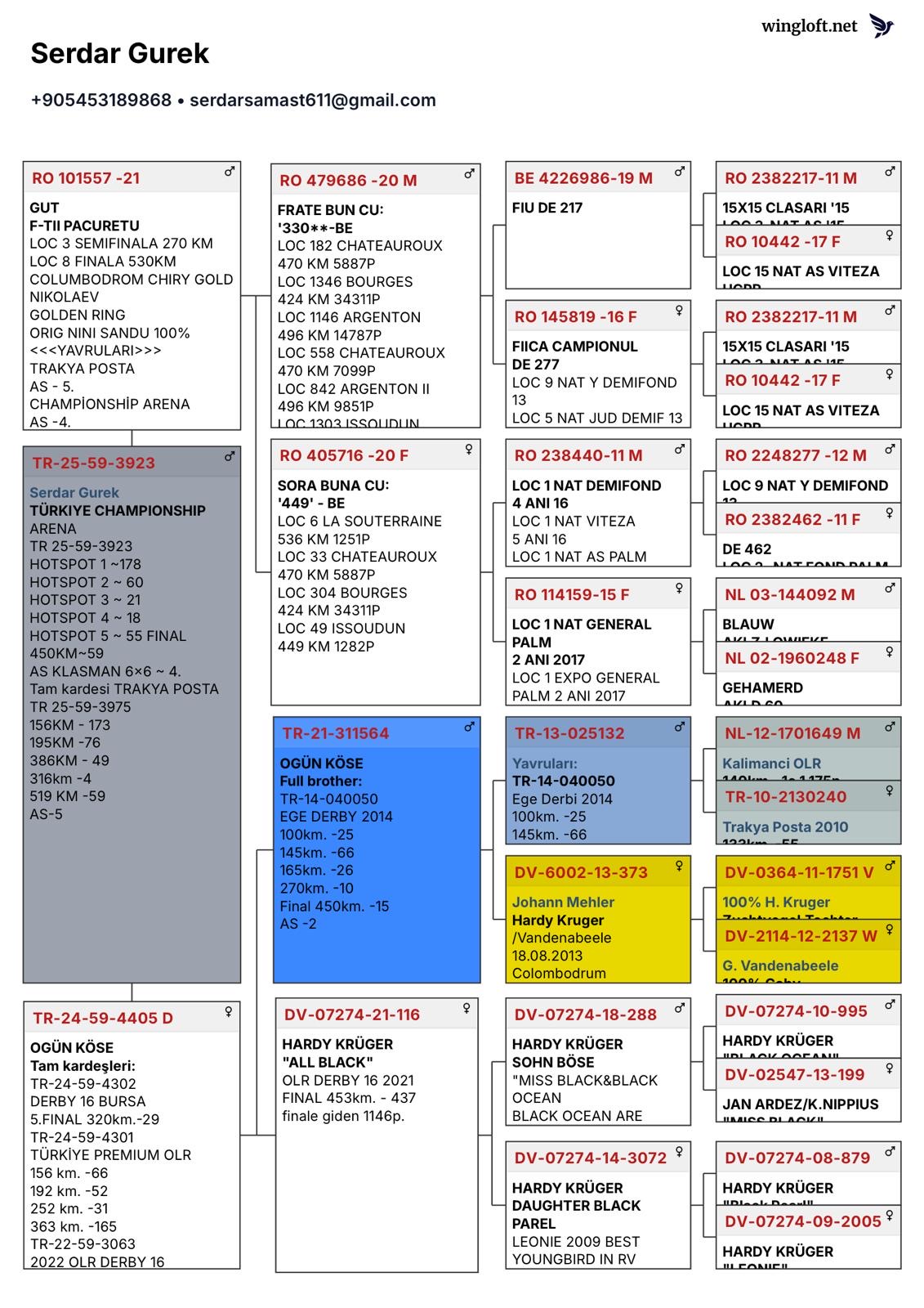 TR25-59-3923 ERKEK / KENDİSİ 4 AS KLASMAN T&Uuml;RKİYE CHAMPİONSHIP OLR