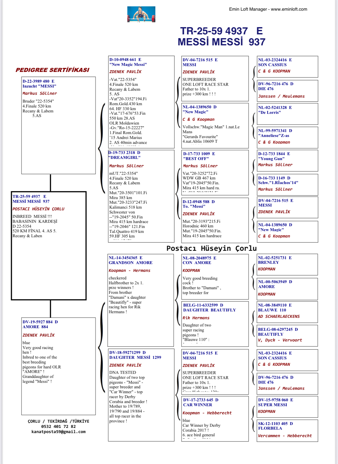 TR25-59-4397 ERKEK / INBREED MESSI