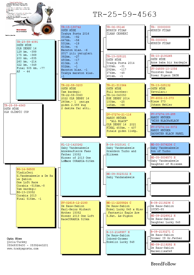 TR25-59-4563 / OGÜN KSÖE CEM TEAM -  63 FİNAL & 31 AS