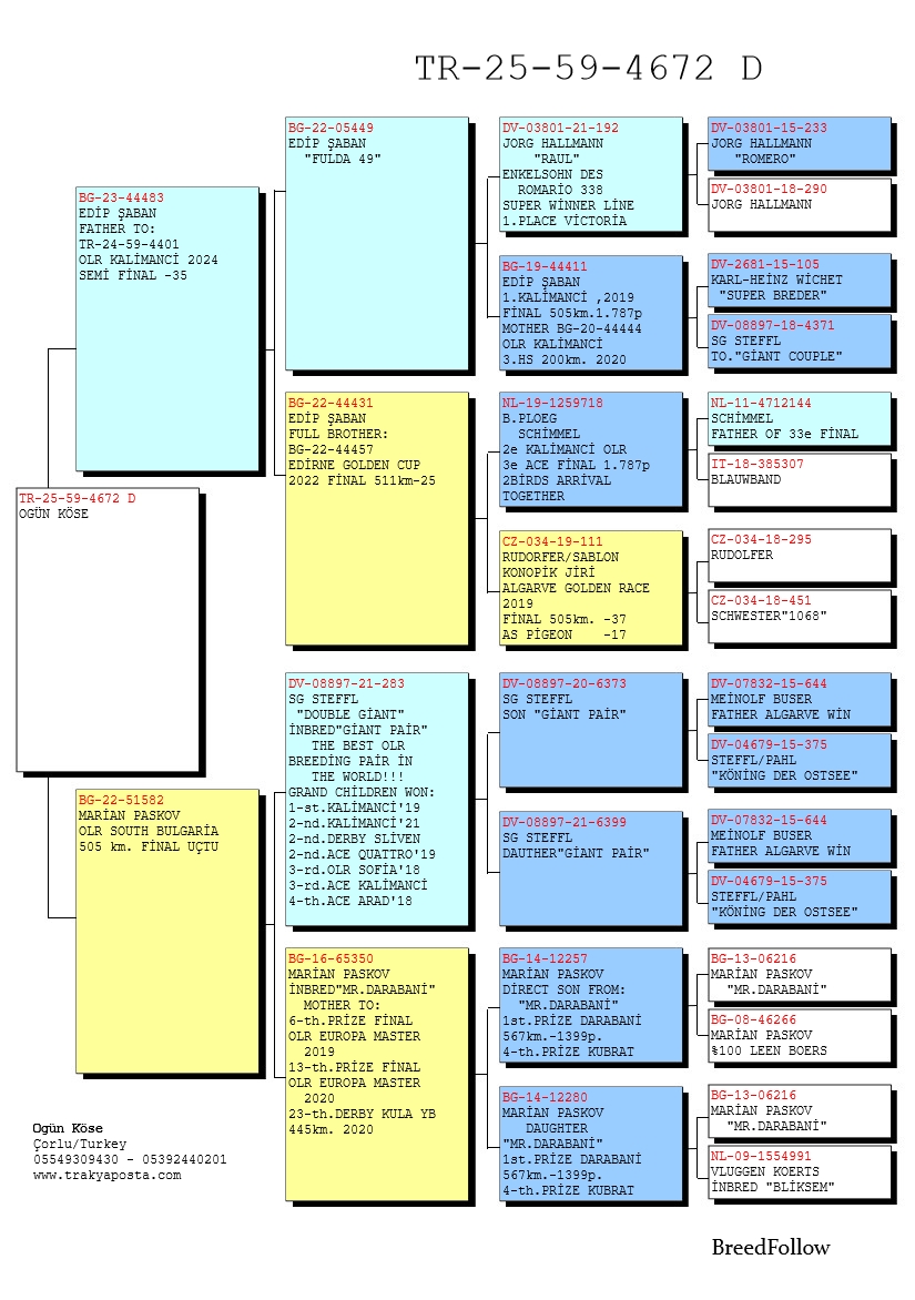 TR25-59-4672 ERKEK / BABASI EDIP SHABAN ANNESİ INBRED GIANT PAIR