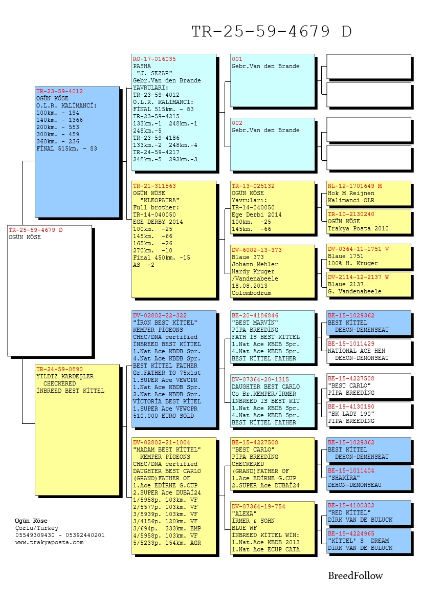 TR25-59-4679 DİŞİ / ANNESI INBREED BEST KITTEL BABASI 83 FİNAL KALIMANCI