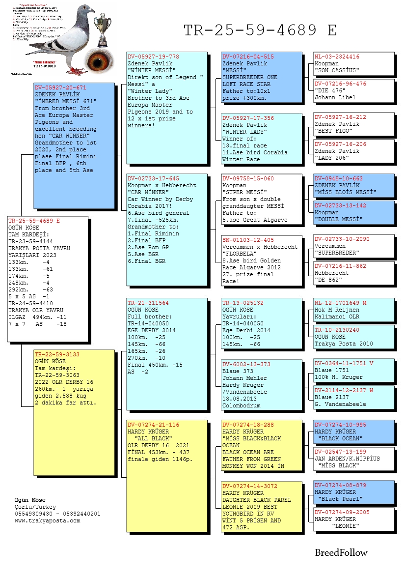TR25-59-4689 ERKEK / TAM KARDEŞİ 1 AS KLASMAN 5X5