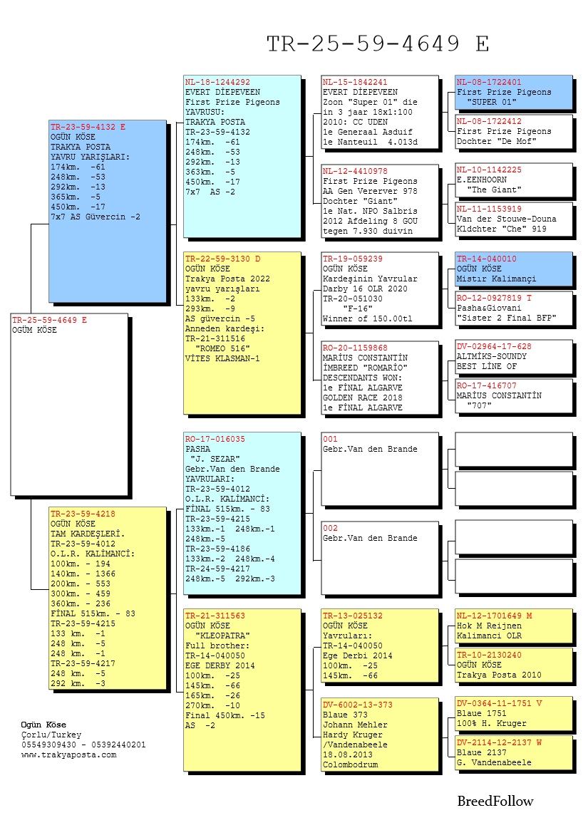 TR25-59-4694 ERKEK / BABASI 2 AS GÜVERCİN 7X7
