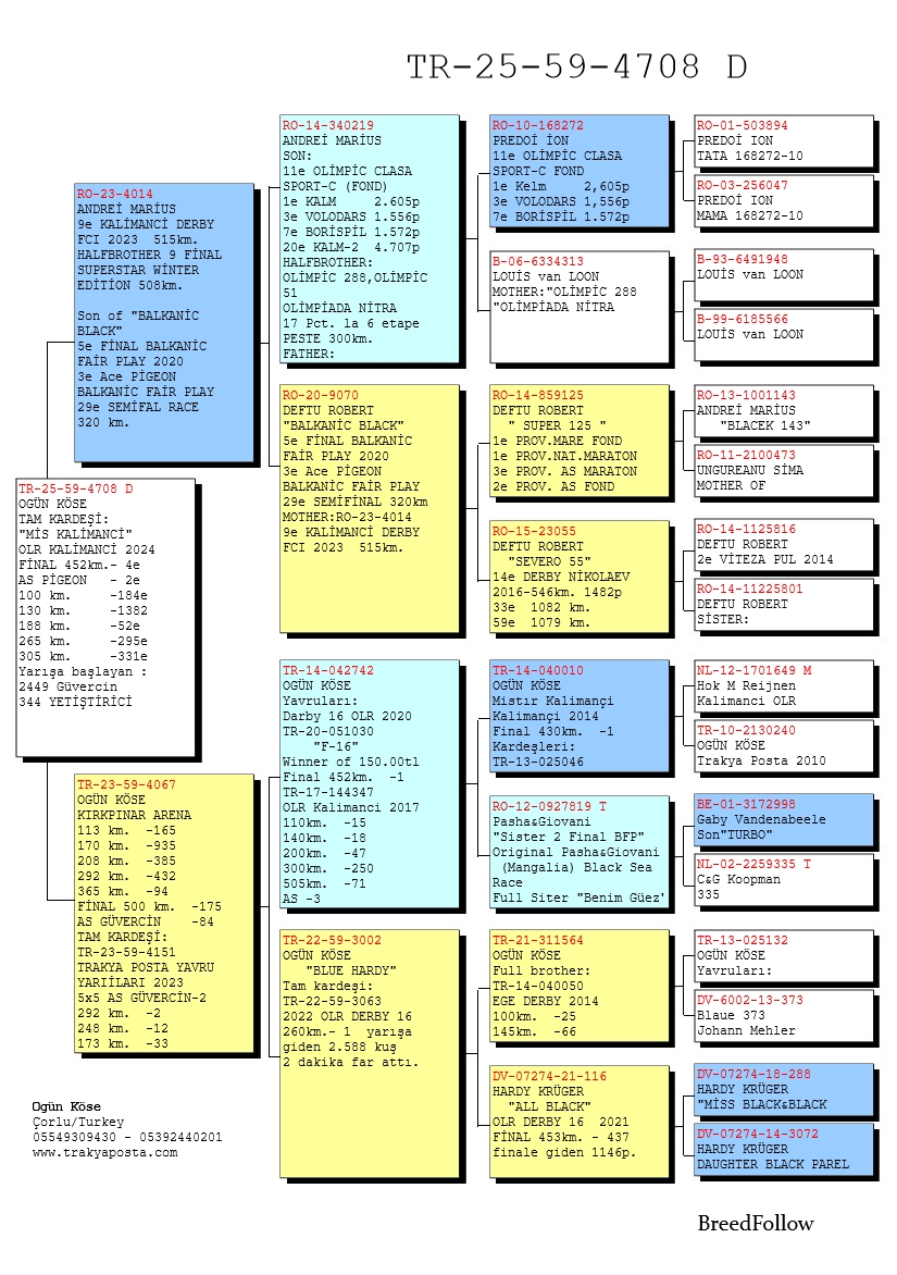TR25-59-4708 DİŞİ / TAM KARDEŞİ MISS KALIMANCI  4 FİNAL 452 KM & 2 AS 