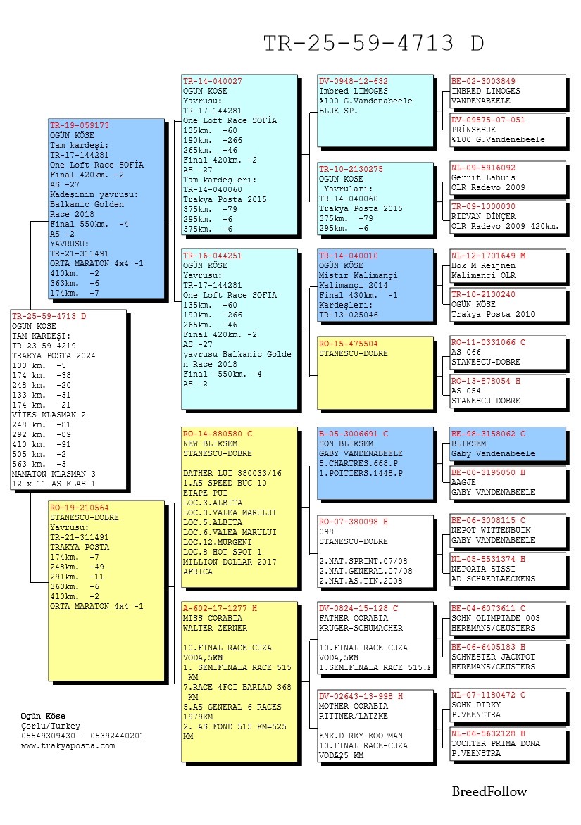 TR25-59-4713 DİŞİ / TAM KARDEŞİ 1 AS KLASMAN 