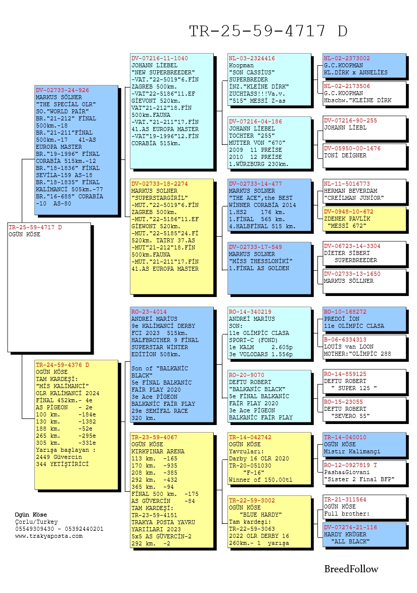 TR25-59-4717 DİŞİ / ANNESİNİN TAM KARDEŞİ MİSS KALİMANCİ 2 AS