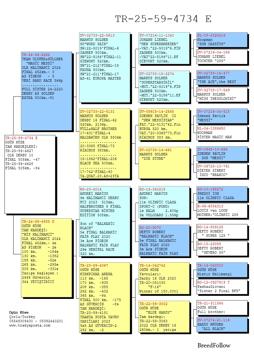 TR25-59-4734 ERKEK / BABASI  3 FİNAL 3 AS KALIMANCI ANNESİ 5 FİNAL 2 AS KALIMANCI