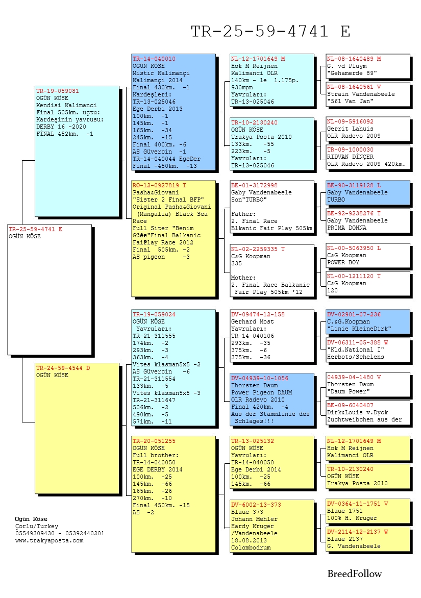 TR25-59-4741 ERKEK / BABASININ KARDEŞİNİN YAVRUSU F-16 1 FİNAL 452 KM