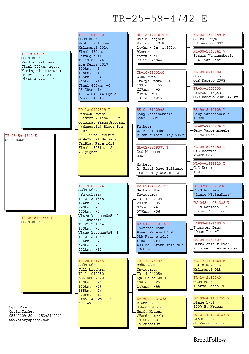 TR25-59-4742 ERKEK / ANNE ANNESİ 050 KIZ KARDEŞİ