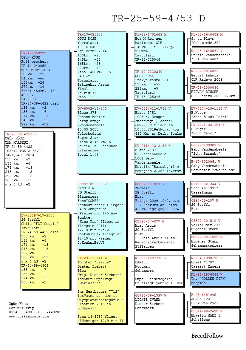 TR25-59-4753 DİŞİ / TAM KARDEŞİ  2 AS KLASMAN 