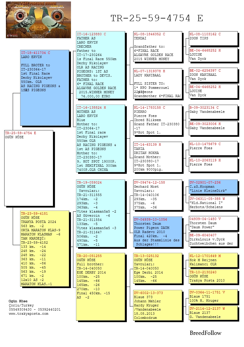 TR25-59-4754 ERKEK / BABASI LARO ERVİN NIKOLAEV ŞAMPİYON KARDEŞİ