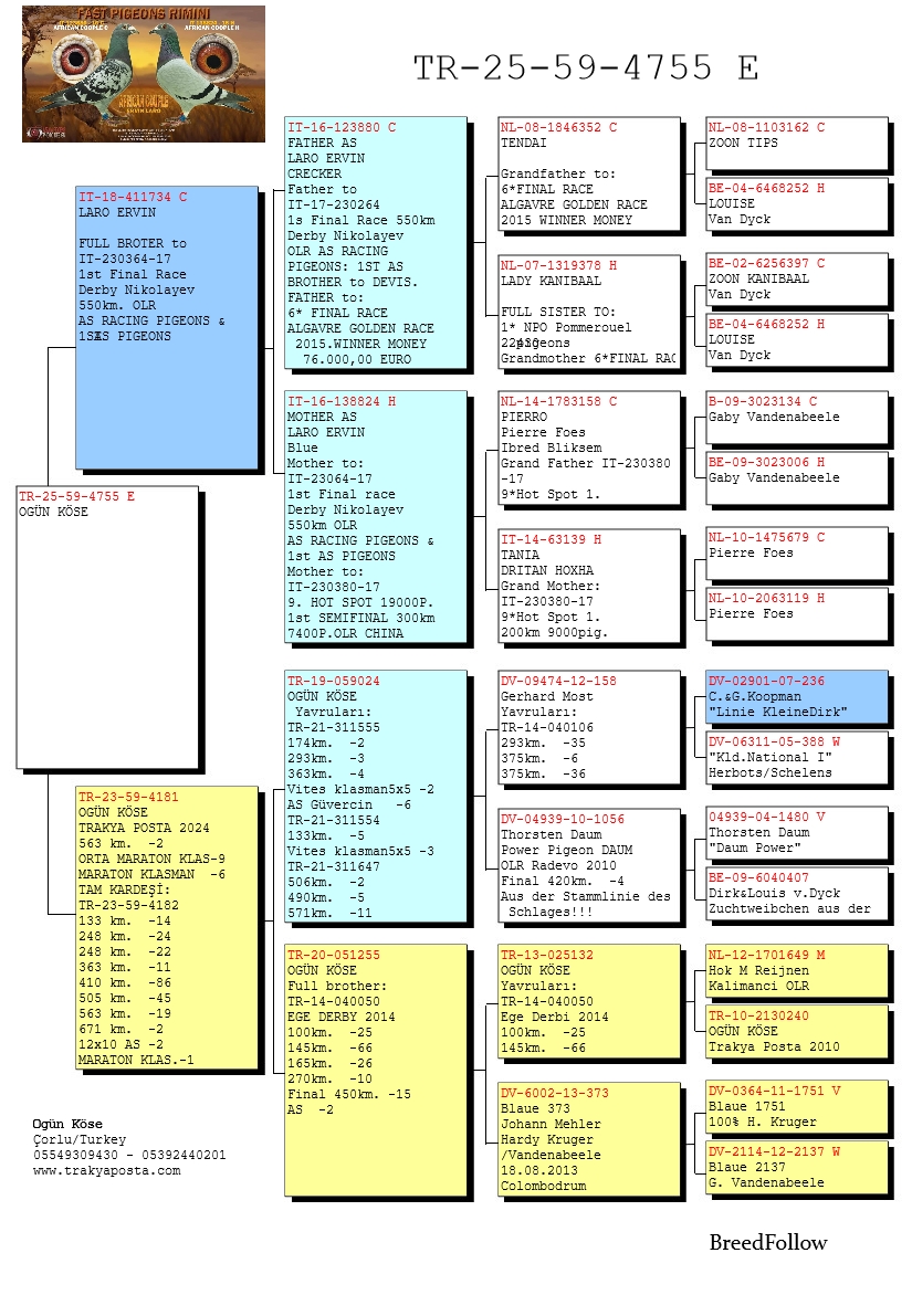 TR25-59-4755 ERKEK / BABASININ KARDEŞİ 1 FİNAL NIKOLAEV 550 KM