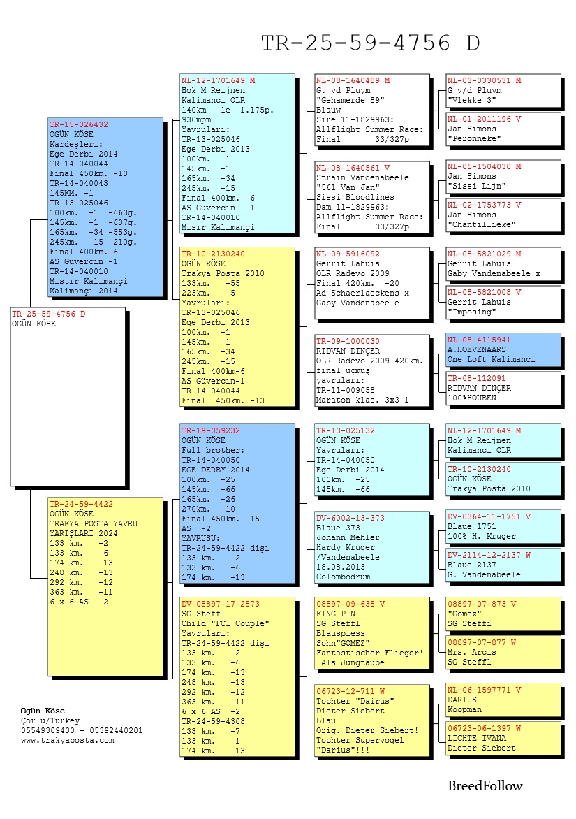 TR25-59-4756 DİŞİ / BABASININ KARDEŞİ MISTER KALIMANCİ