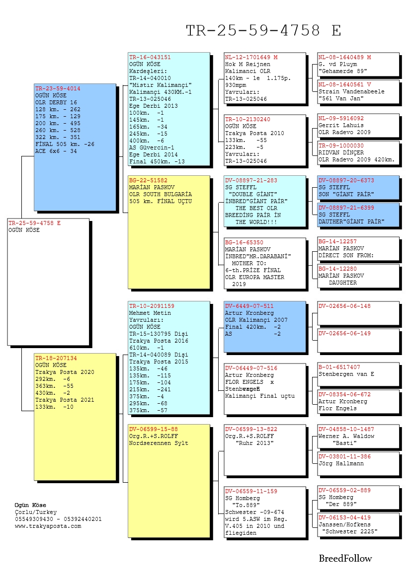 TR25-59-4758 ERKEK / BABASI DERBY16 -  26 FİNAL 505 KM
