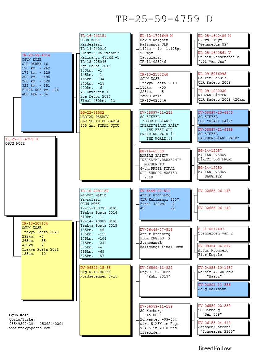 TR25-59-4759 DİŞİ / BABASI 26 FİNAL DERBY16