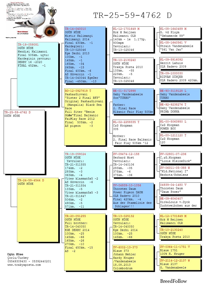 TR25-59-4762 DİŞİ / BABASININ KARDEŞİ F-16 - 1 FİNAL DERBY16
