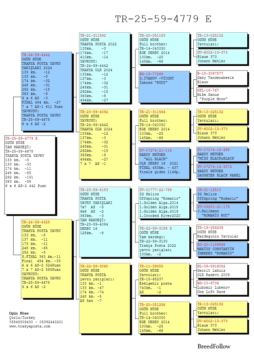 TR25-59-4779 ERKEK / TAM KARDEŞİ 2 AS GÜVERCİN