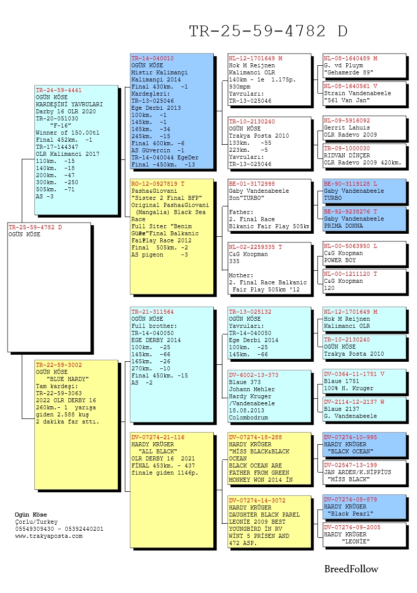 TR25-59-4782 DİŞİ / BABASININ KARDEŞİ F-16 1 FİNAL DERBY16