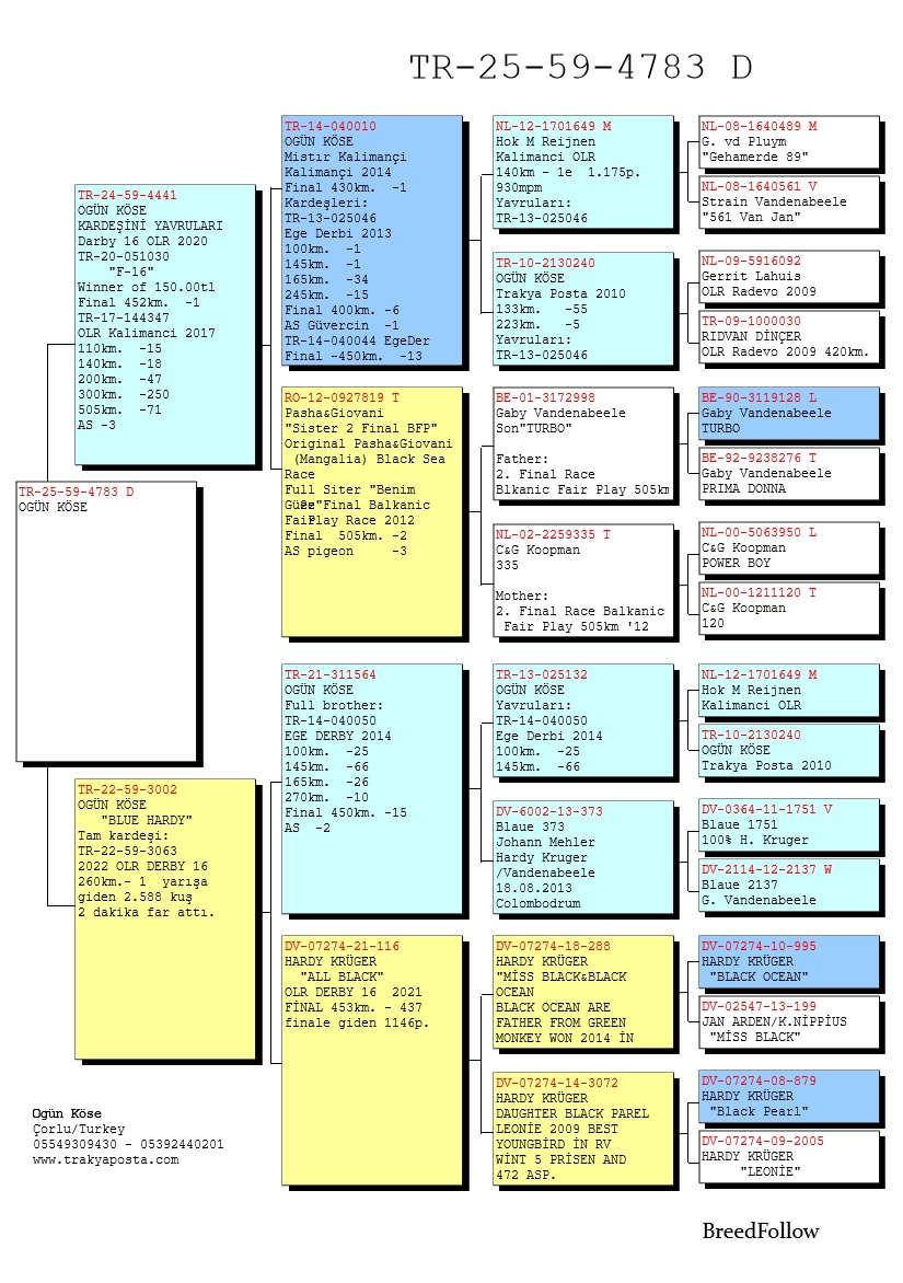 TR25-59-4783 DİŞİ / BABASININ TAM KARDEŞİ F-16 DERBY 16 ŞAMPİYONU