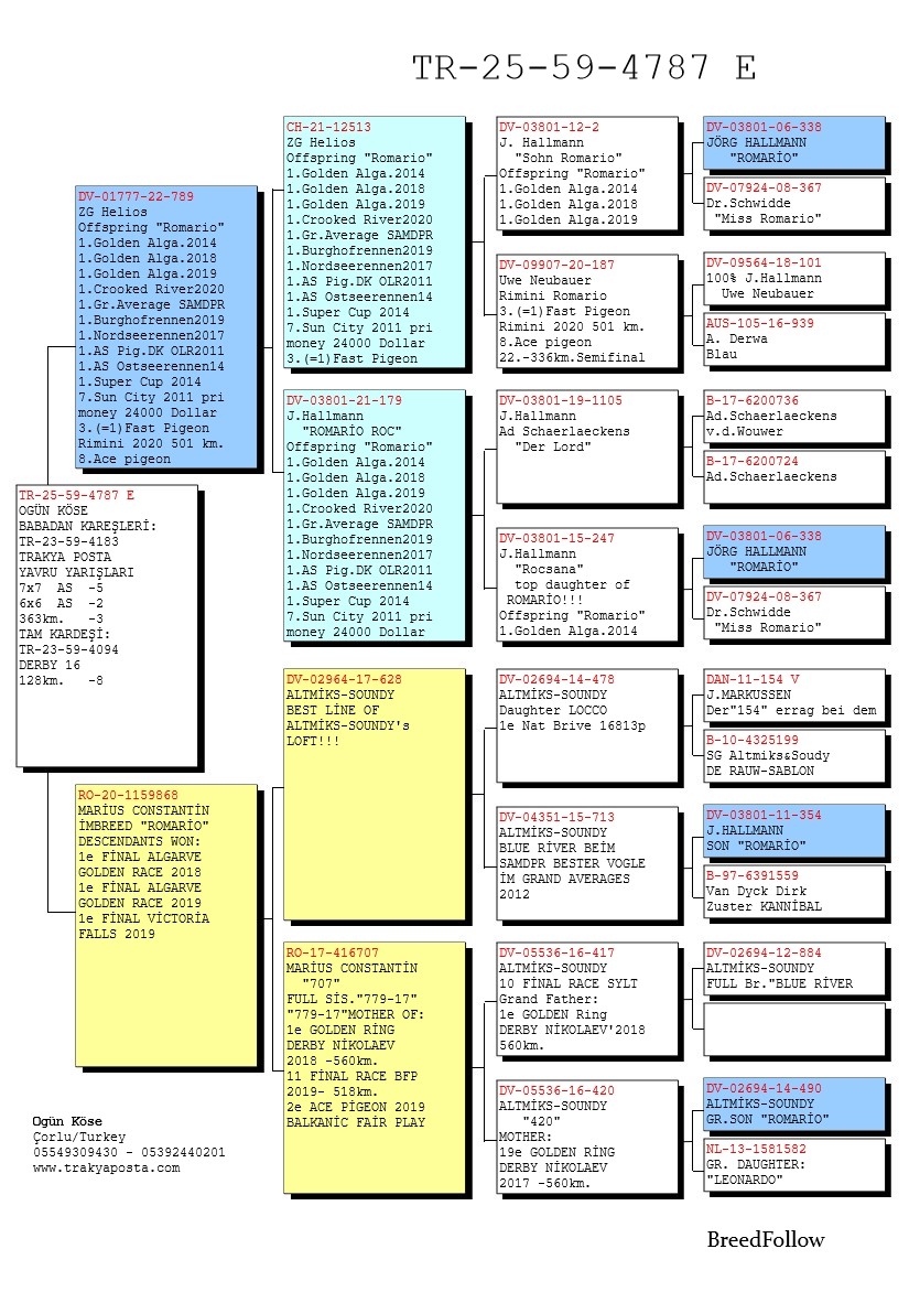 TR25-59-4787 ERKEK / BABADAN KARDEŞİ 2 AS KLASMAN 