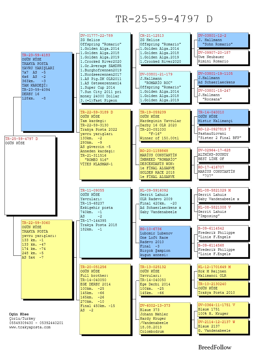 TR25-59-4797 DİŞİ / BABASI TRAKYA POSTA 2 AS KLASMAN 