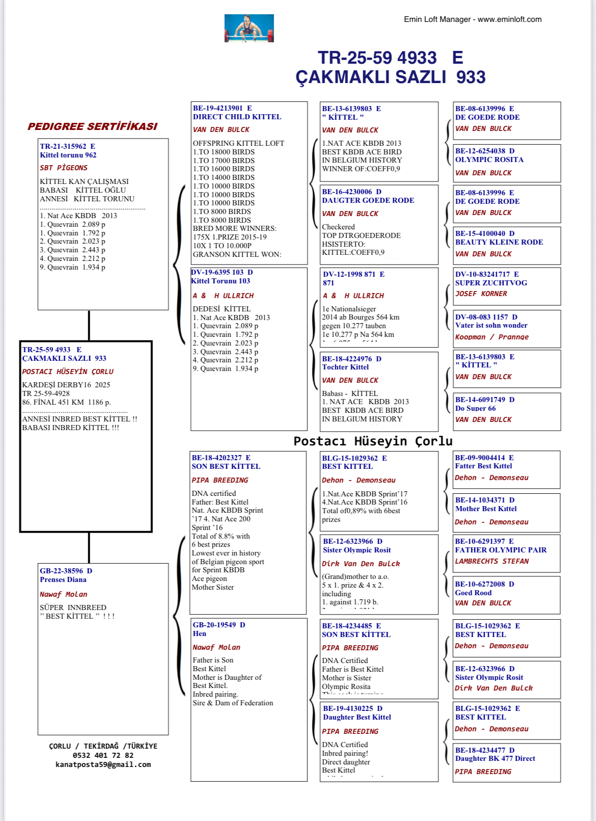TR25-59-4933 ERKEK / KARDEŞİ 85 FİNAL DERBY16 