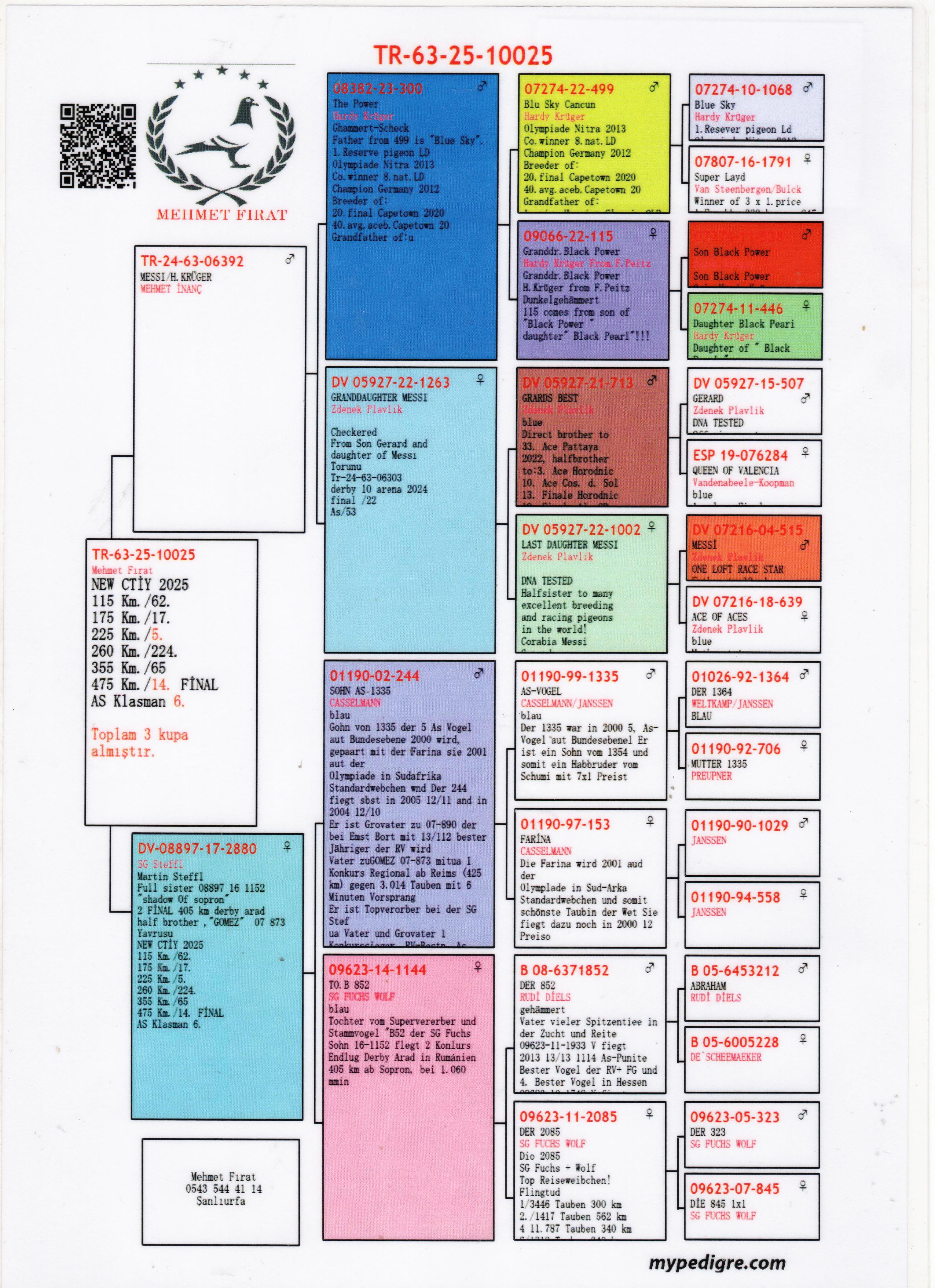 TR25-63-10025 ERKEK / KENDİSİ 6 AS GÜVERCİN NEW CITY OLR 
