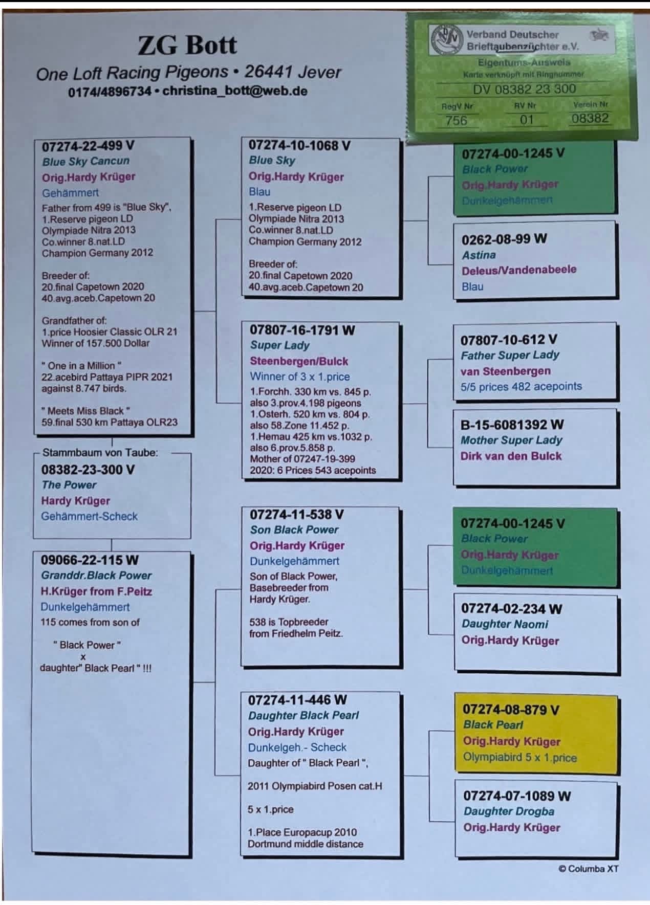 TR25-63-10025 ERKEK / KENDİSİ 6 AS GÜVERCİN NEW CITY OLR 