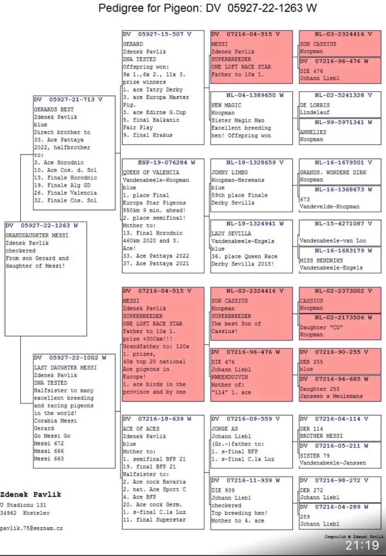 TR25-63-10025 ERKEK / KENDİSİ 6 AS GÜVERCİN NEW CITY OLR 