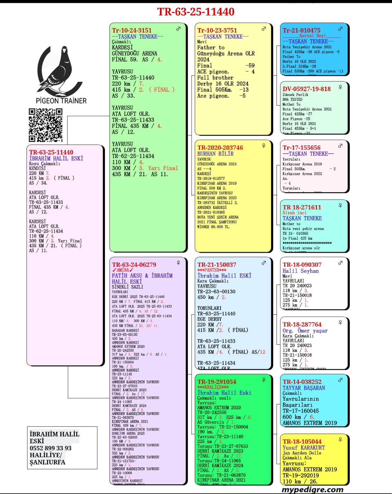 TR25-63-11440 / GÜNEYDOĞU ARENA  - 2 FİNAL 415 KM & 34 AS