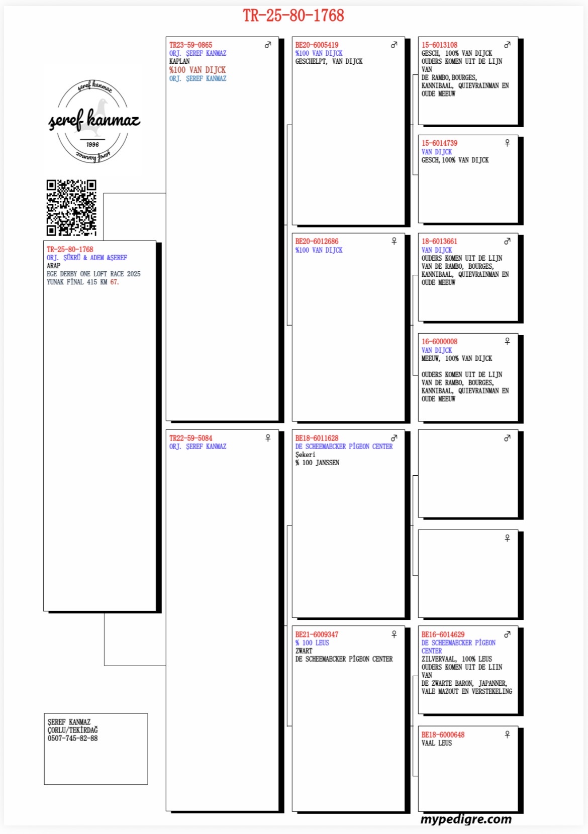 TR25-80-1768 / S&Uuml;KR&Uuml;  - ADEM - SEREF - 67 FİNAL 