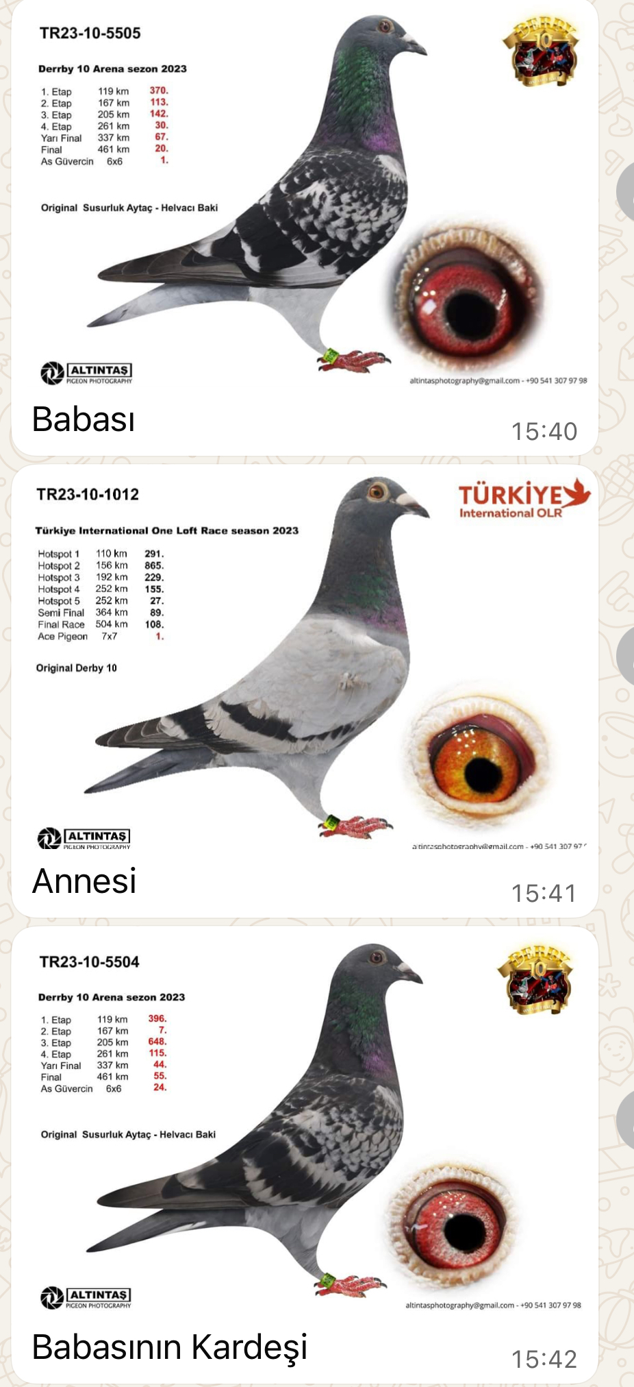 TR25-80-2928 / GENC - BABASI 1 AS KLASMAN DERBY10ANNESİ 1 AS KLASMAN TURKIYE PREMIUM